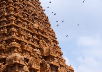 Brihadeeswarar Temple in Thanjavur, Tamil Nadu, India. One of the world heritage sites in India