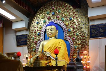 Buddha-Statue---Namgyal-Monastery---Dharamshala---India