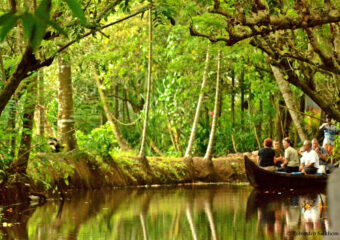 Canoe Boat - Narrow canals - Kumarakom - Backwater - Kottayam - Kerala - India