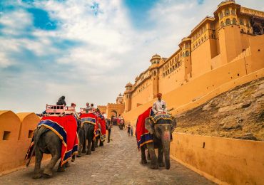 Elephant ride - Amer Fort - Jaipur - Rajasthan - India