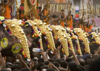 Elepohants at Pooram Festival - Thrissur-Festival-in-Kerala - India