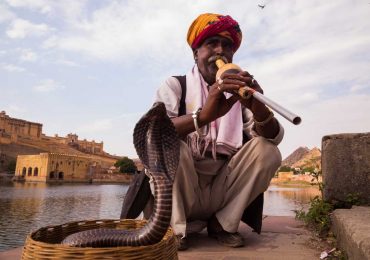 Snake charmer at Amer Fort - Jaipur - India