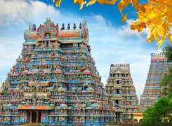 Sri Ranga Swamy Temple - Trichy - Tiruchirapalli - Tamilnadu - South - India