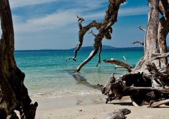 Beach on Havelock Island - Andamans and Nicobar - Havelocj Island - India