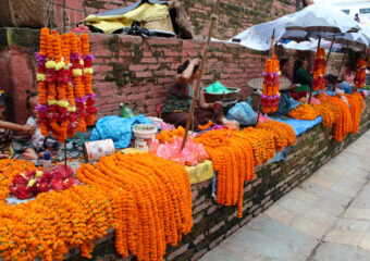 Flower market - Kathmandu Darbar Square - Kathmandu Valley - Nepal