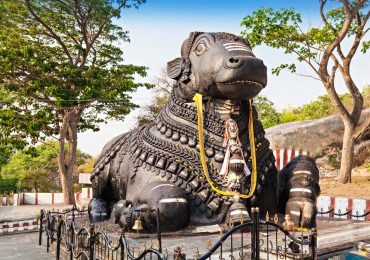Nandi Bull at Chamundi Hill - Mysore - Mysuru - Karnataka - South - India