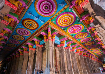 Paitings on ceiling - Meenakshi Temple - Madurai - Tamilnadu - South - India