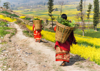 Pokhra - Tranquility in valley - rural life - Nepal